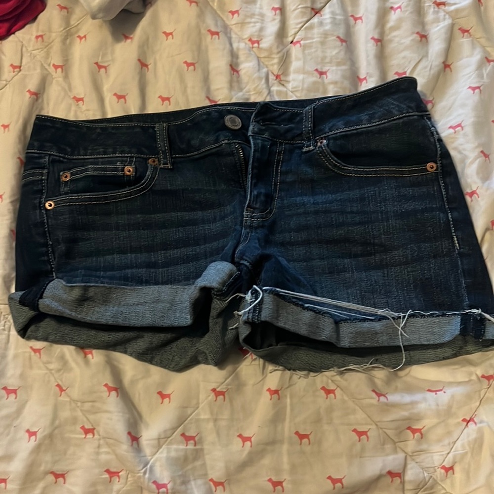 American Eagle Shorts 10